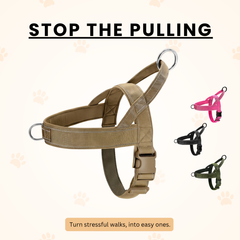 No Pull Chest Harness